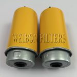 32/925950 Fuel Filter